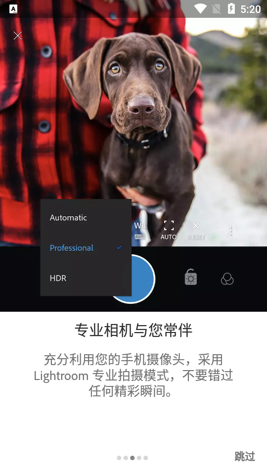 Lightroom安卓免费版图片编辑器 v11.1.2