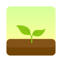 Forest专注森林App免费 v5.3.1