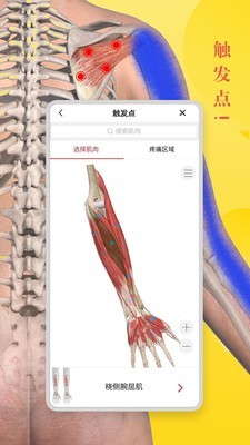3DBody解剖 免费版 v8.8.41