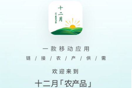 十二月APP 十二月APP