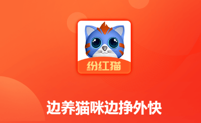 纷红猫养猫咪分红软件