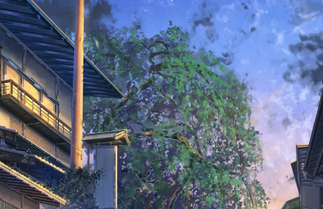 焦糖壁纸app纯净版