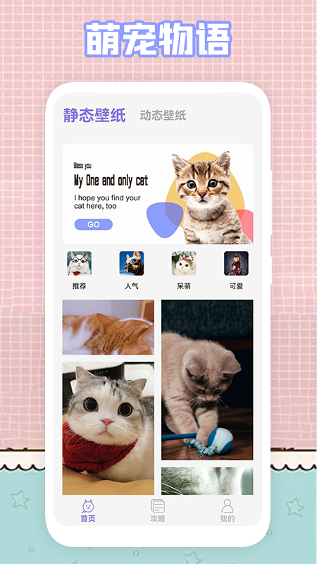 我的猫咪app v1.1