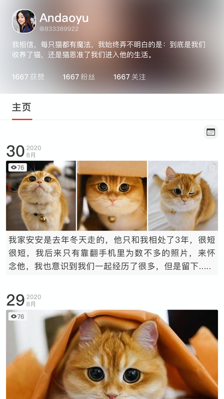 宠年年app v1.0
