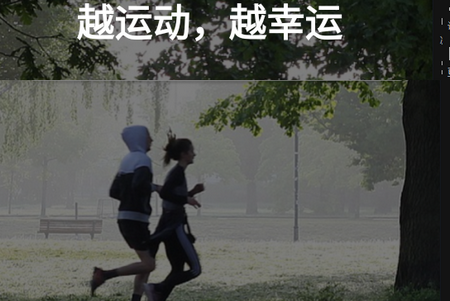 幸运叶子 幸运叶子
