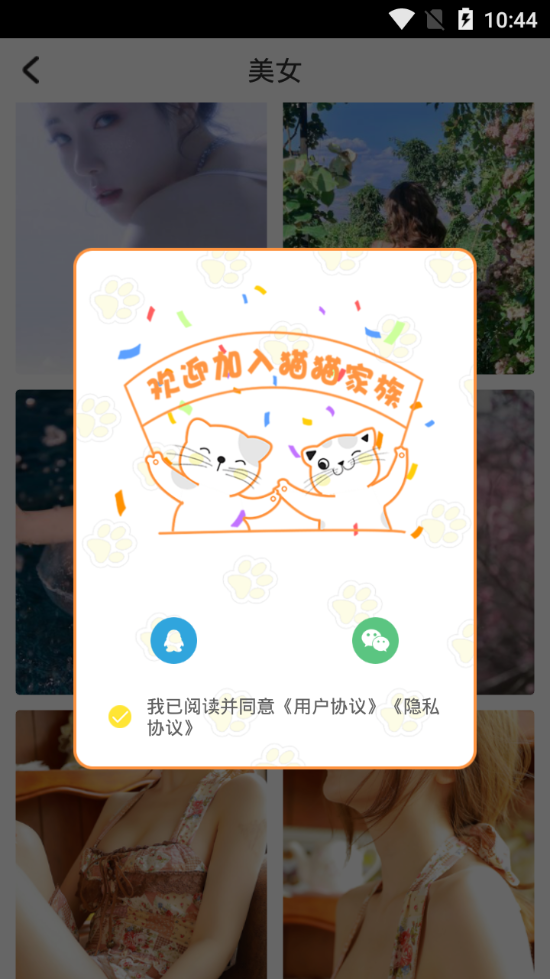 拼图猫软件 v1.0