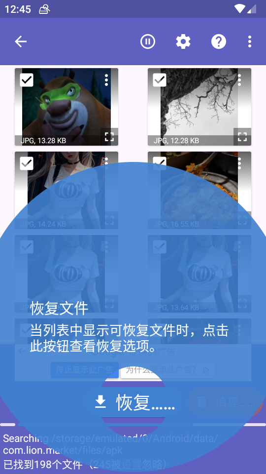 diskdigger安卓正版 v1.020240725