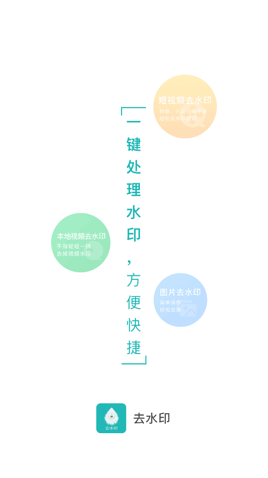 水印去除大师专业免费版 v