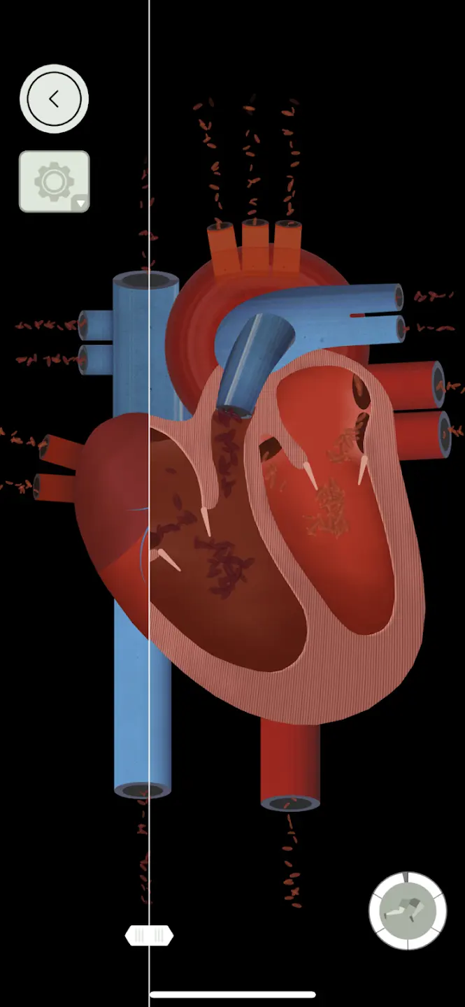 人体探秘最新版 v3.6.7