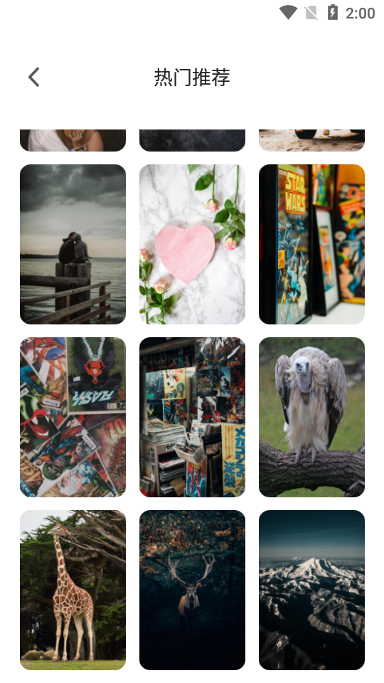 靓丽壁纸app安卓版 v1.0