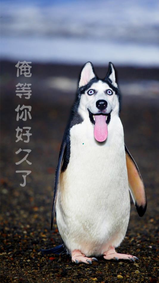 别逗了官方版 1.1.1安卓版 v1.1.1