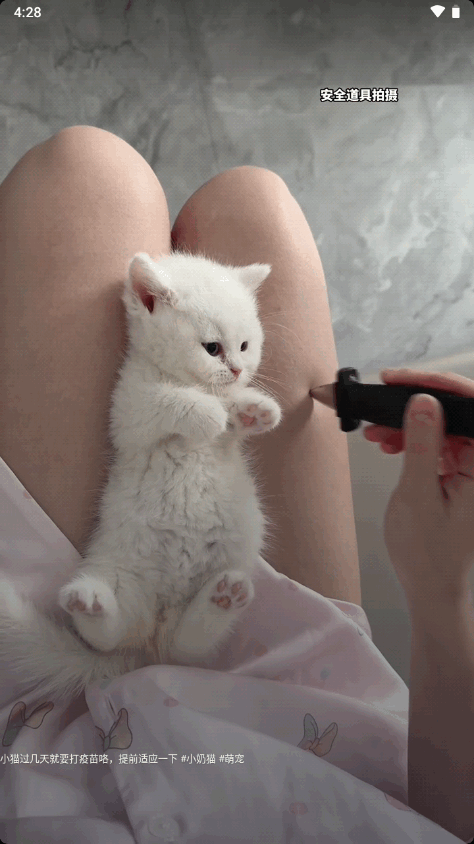 抖音共存版去水印 v88.8.8