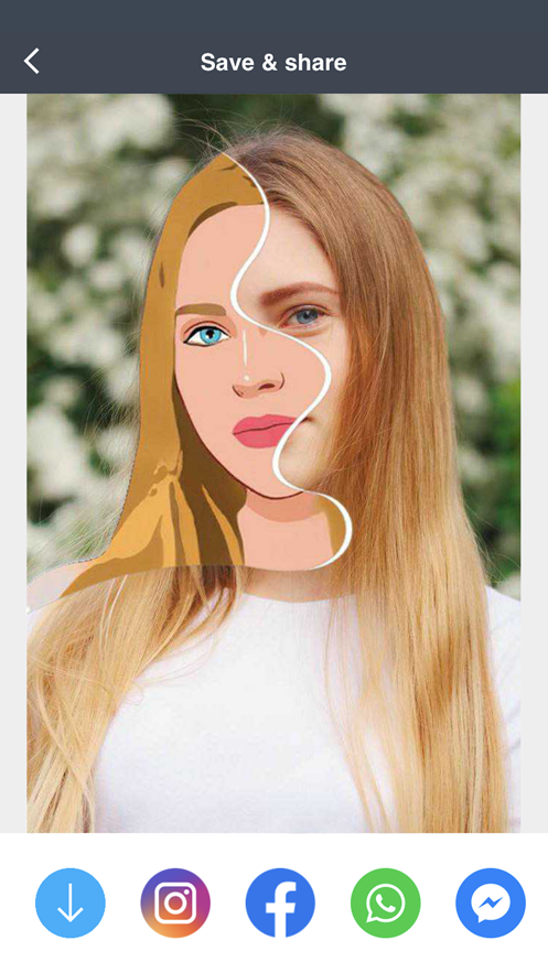 toonme专业版免费 v0.7.16