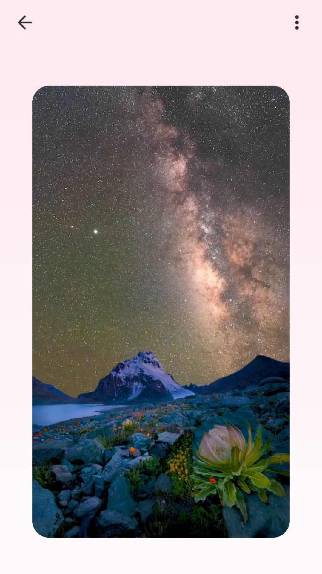 吐司壁纸手机版 v1.20.0.1