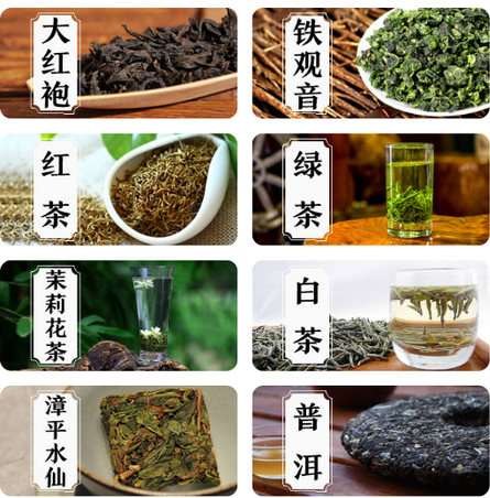 茶七网app 茶七网app