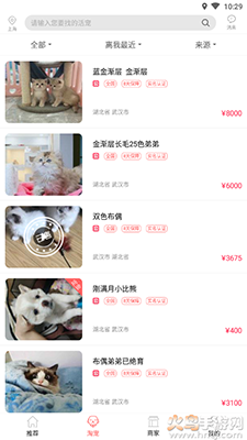 淘宠网app宠物猫狗交易平台 v3.3.10