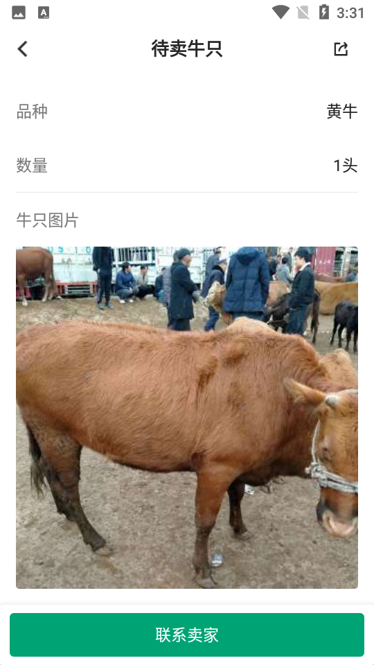 大肥牛app	 v1.0.3