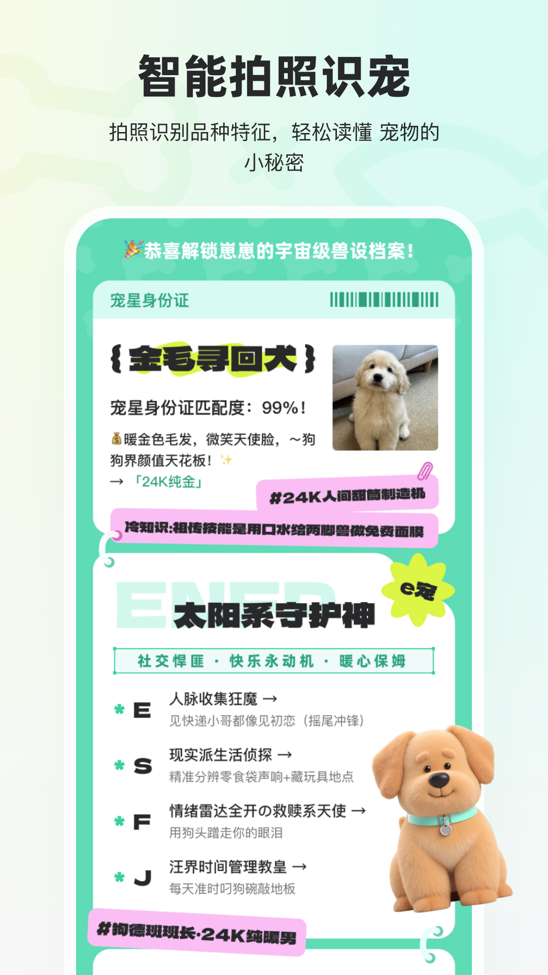 宠拍档app v1.4.8