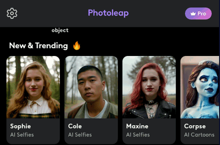 Photoleap pro免费版