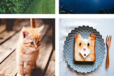 118图库彩图安卓版