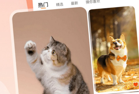 WalP壁纸官方版 WalP壁纸官方版