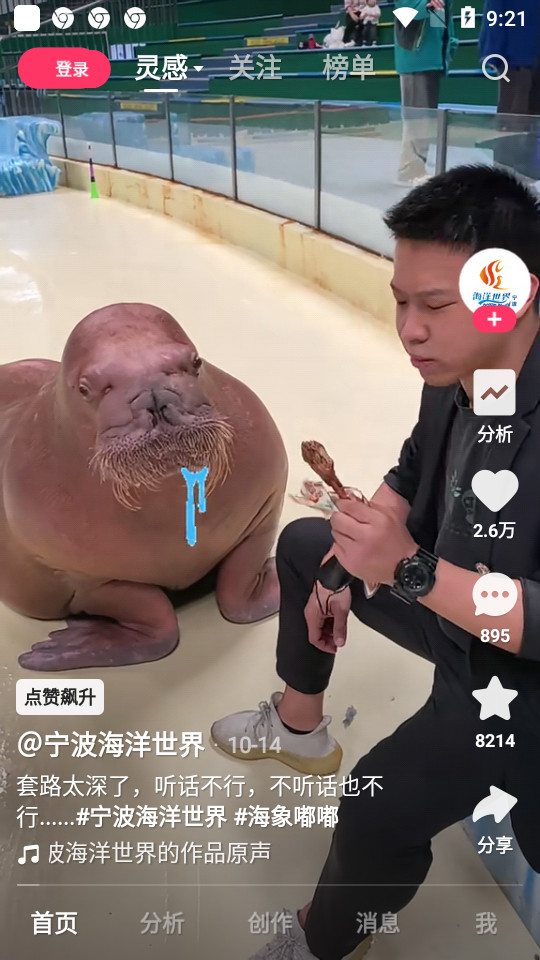 快手创作者平台 v12.0.20.191