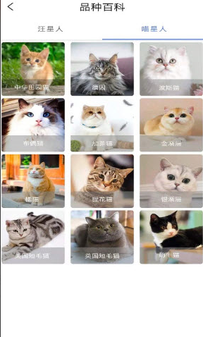 宠物知识全书app v1.0.0