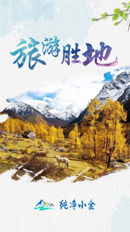 纯净小金app v1.30
