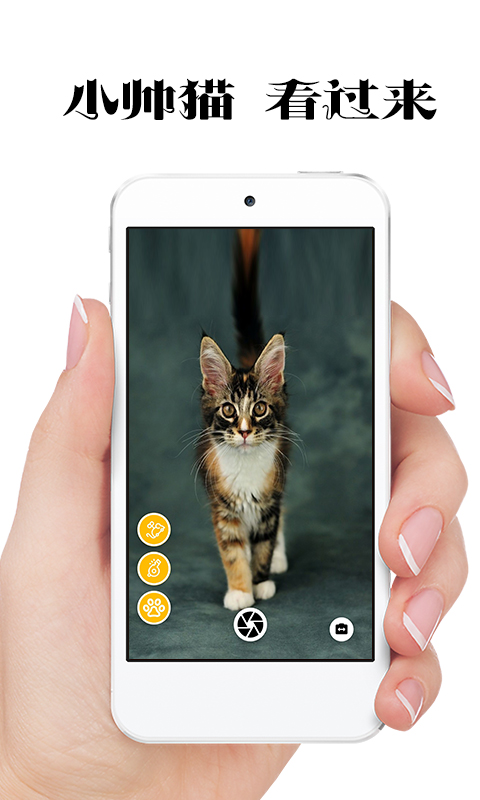 抖音极简猫咪相机 v1.0.5