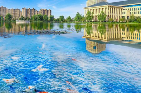 驼运通app官方版