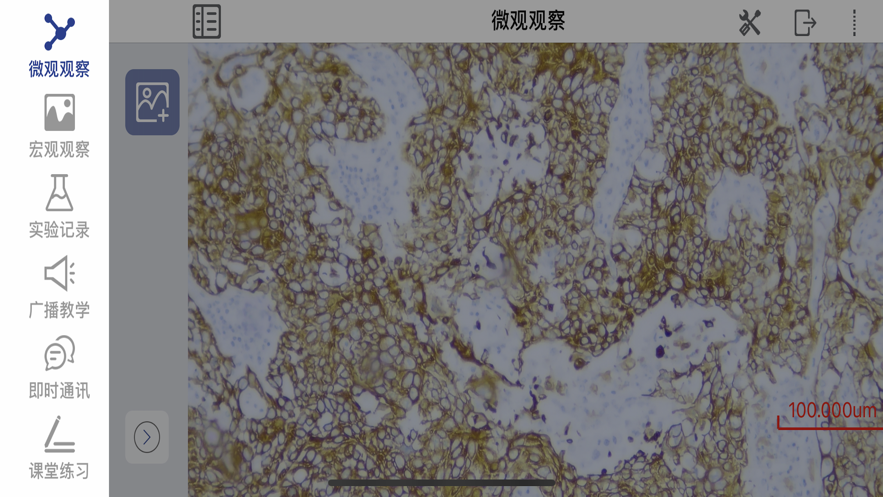 SMES软件下载安卓 v3.1.5