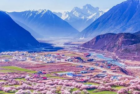 藏易通(西藏政务)