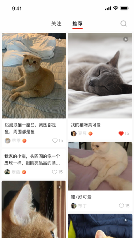 宠年年app v1.0