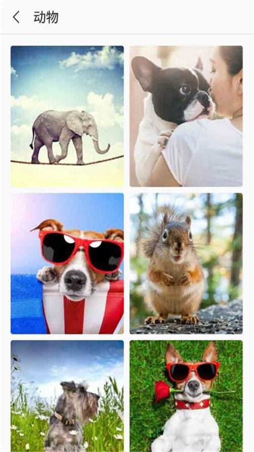 芒果壁纸app v3.3.6