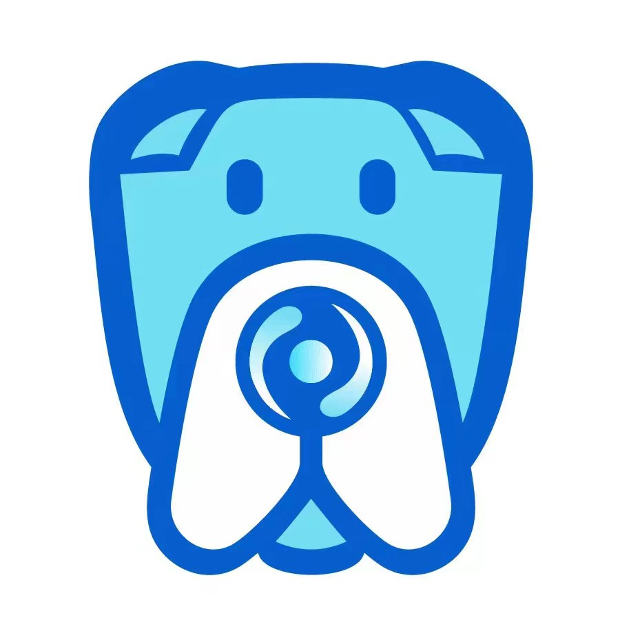 沙皮软件 v1.0.0