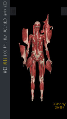 3DBody解剖 v8.8.41