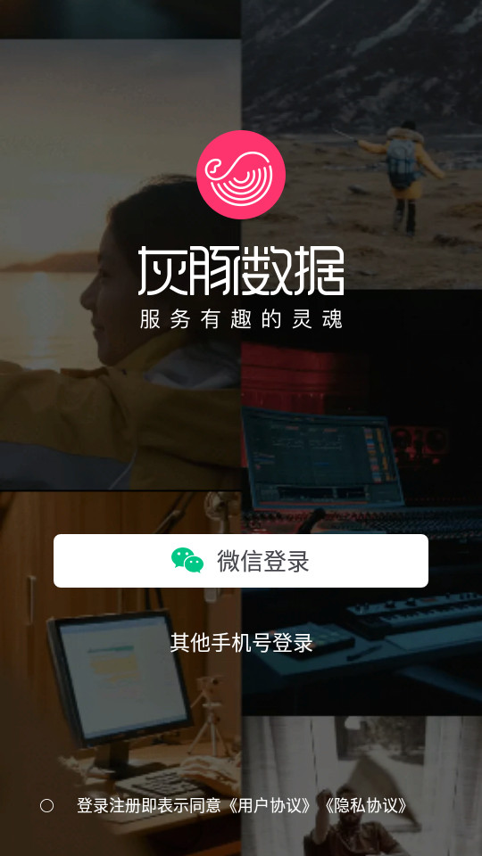 灰豚数据app v3.9.10