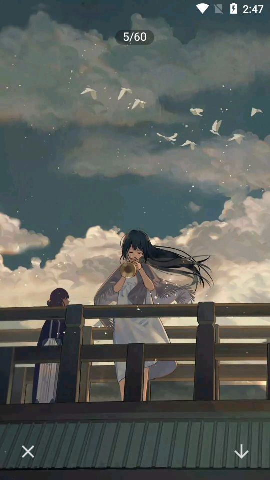 dizz 胶片相机 v230425