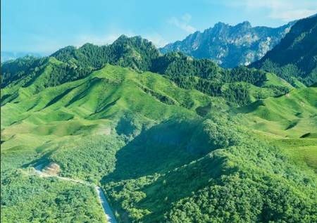 生态护林员手机巡护系统软件