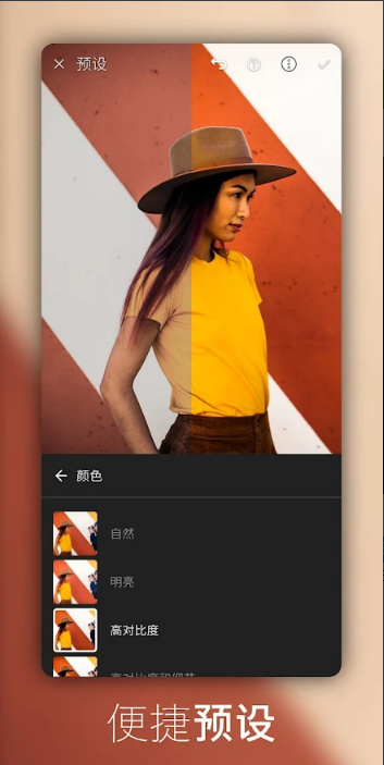 lightroom安卓版 v11.1.2