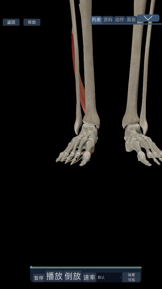 3d运动解剖下载手机版 v3.04