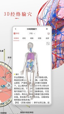 3DBody解剖 手机版 v8.8.41