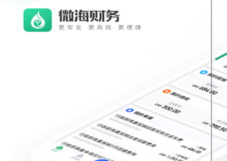 微海财务记账软件 微海财务记账软件