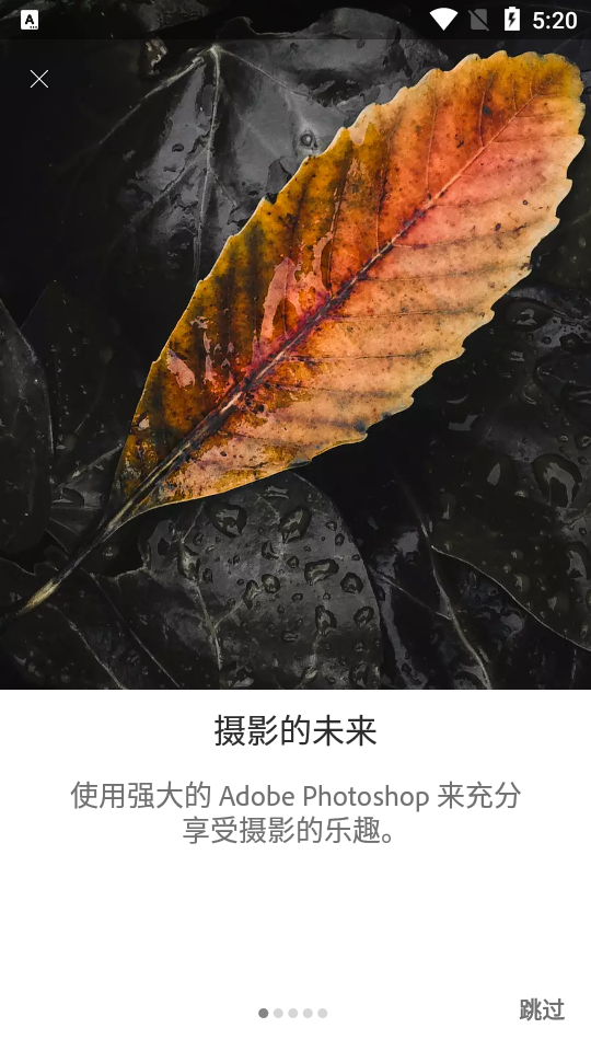 Lightroom安卓免费版图片编辑器 v11.1.2