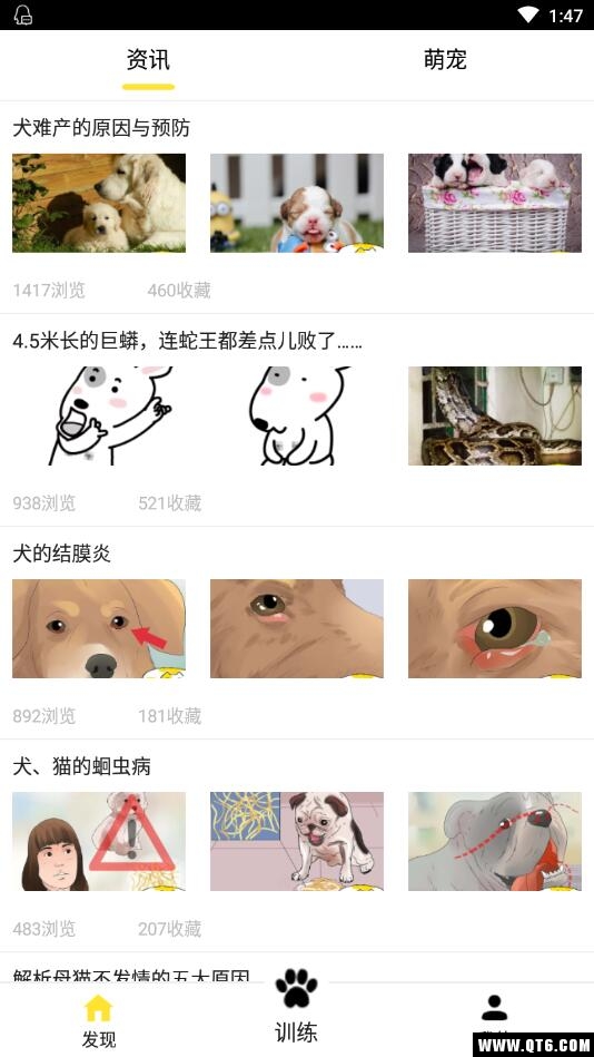 训狗养狗助手 3.8.4安卓版 v3.8.4