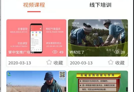 枸杞掌中宝APP 枸杞掌中宝APP
