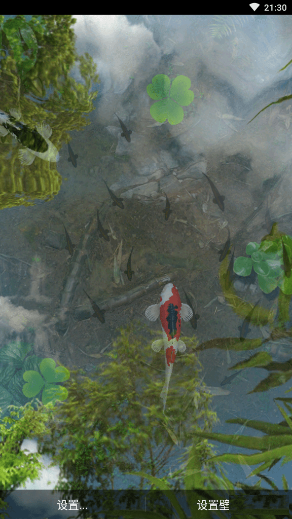 3d锦鲤动态壁纸中文版 v