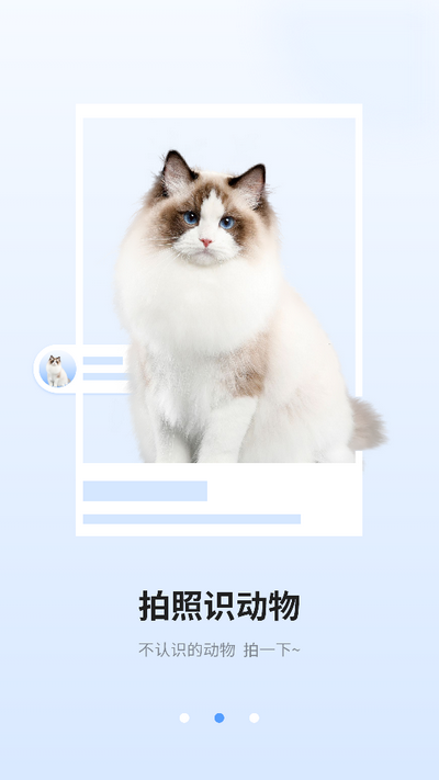 识图相机app最新版 v1.0