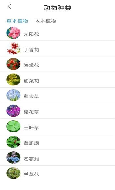 植物品鉴app v1.0
