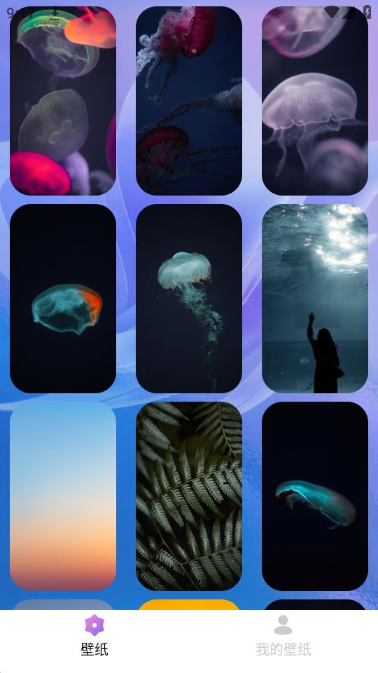 绘影壁纸app v1.0.1.101